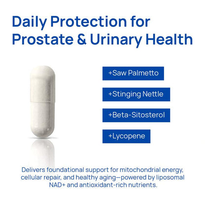Liposomal NAD+ for Men